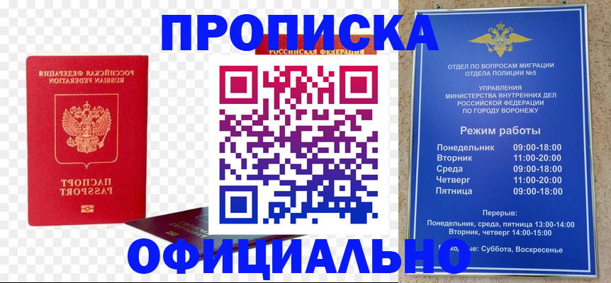 прописка иностранных граждан в Александрове